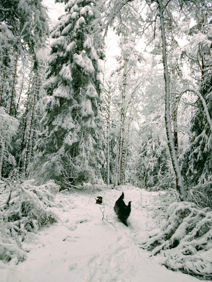 Stuga Glaskogen Glava Екстериор снимка